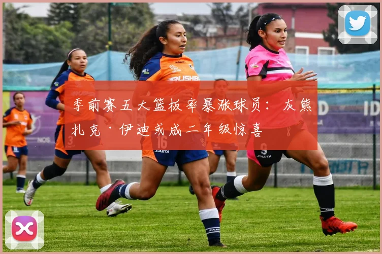季前赛五大篮板率暴涨球员：灰熊扎克·伊迪或成二年级惊喜